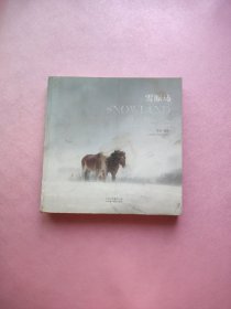 雪原馬