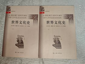 世界文化史 上下册