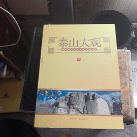 泰山大观 百集泰山历史文化系列光盘 【下】DVD13张