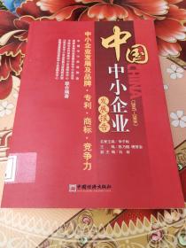 中国中小企业发展报告（20072008）