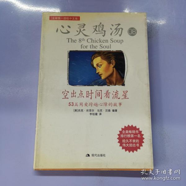 空出点时间看流星：53篇用爱跨越心障的故事