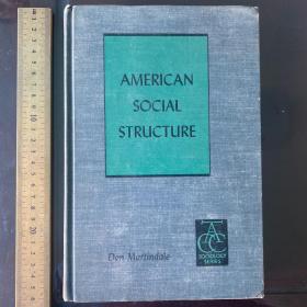 American social structure the of history society sociology 美国社会结构 英文原版精装