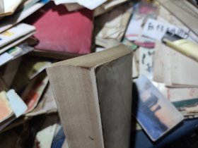 中国古典诗歌艺术欣赏