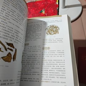 临床常用中草药鉴别与应用