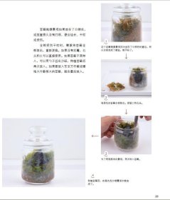 手心里的小森林：苔藓瓶微景观制作