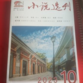 小说选刊2023年10期