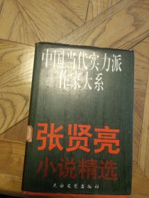 中国当代实力派作家大系：张贤亮小说精选