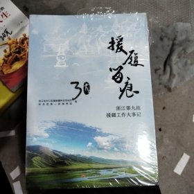 援履留痕浙江第九批援疆工作大事记