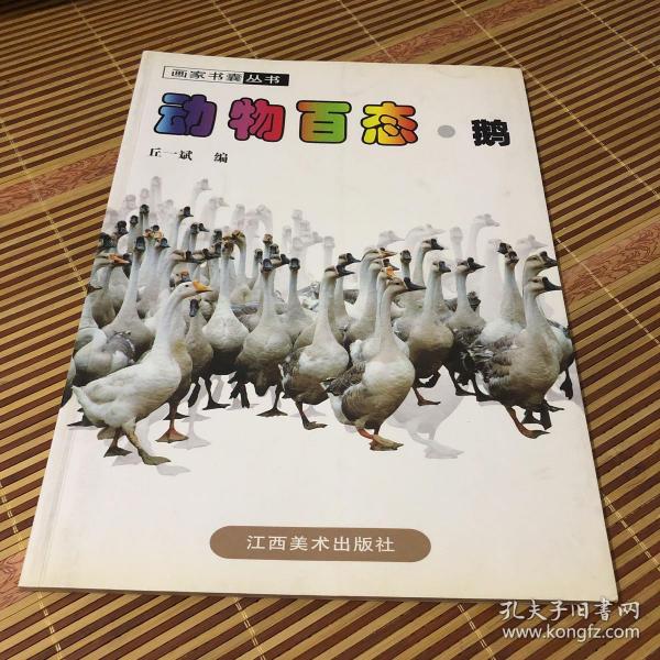 动物摄影图片书籍 画家创作资料用书 鹅分册