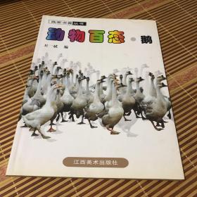 动物摄影图片书籍 画家创作资料用书 鹅分册