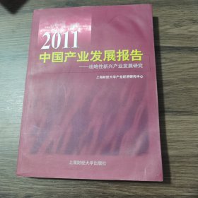 2011中国产业发展报告：战略性新兴产业发展研究