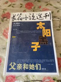 长篇小说选刊2010年第6期