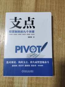 支点：经营制胜的九个关键