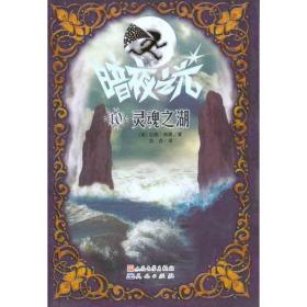 暗夜之光：灵魂之湖 儿童文学 （英）肖恩 新华正版