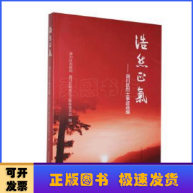 浩然正气——淄川区烈士事迹选编