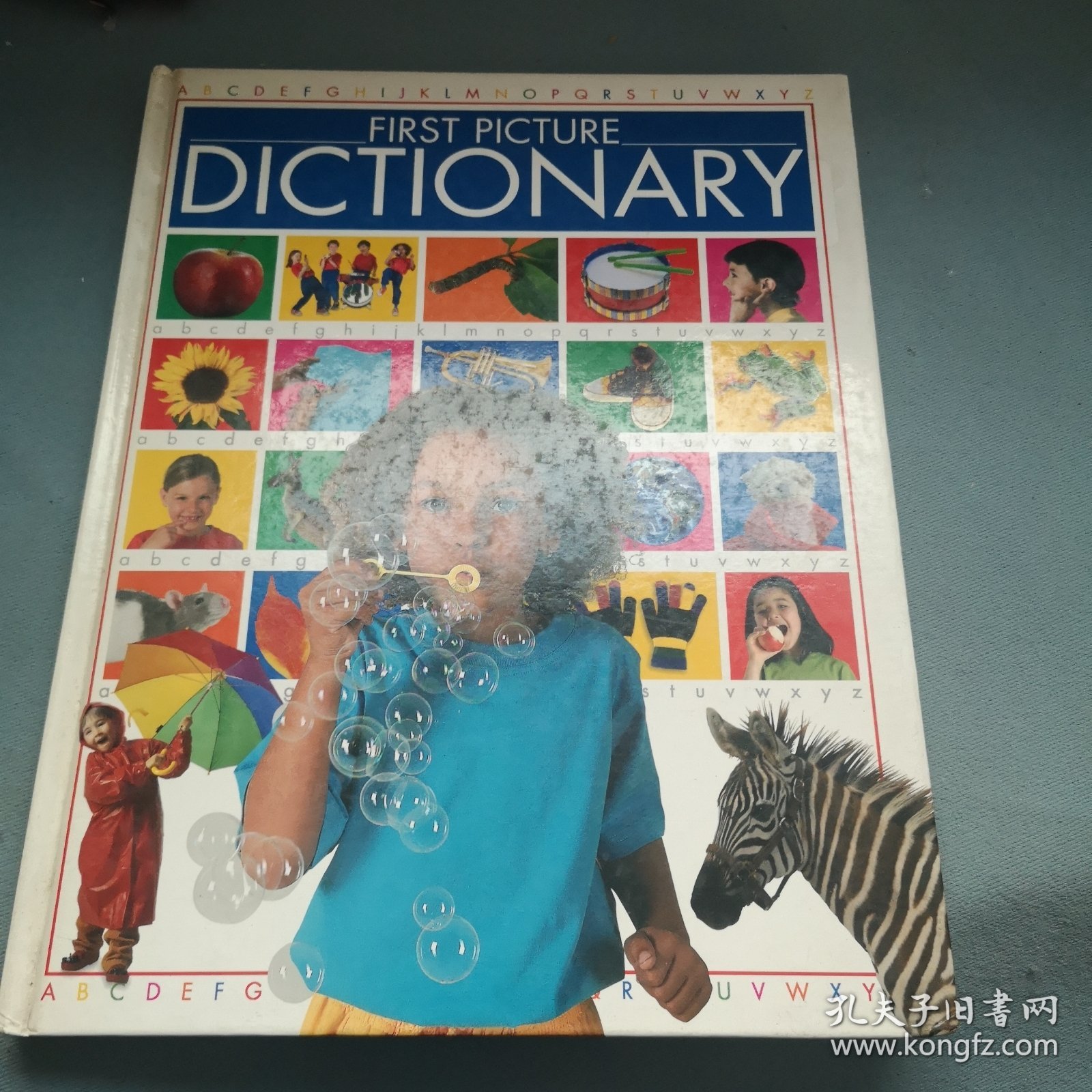 FIRST PICTURE DICTIONARY