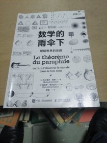 数学的雨伞下：理解世界的乐趣