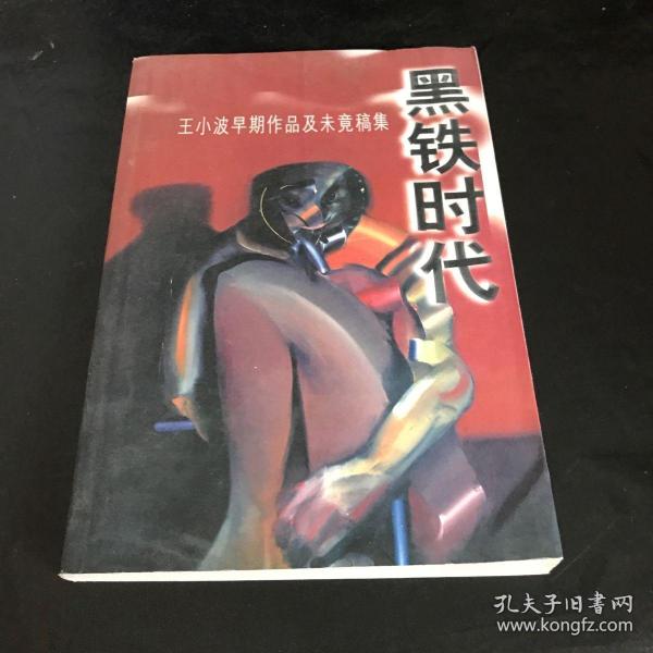 黑铁时代：王小波早期作品及未竟稿集