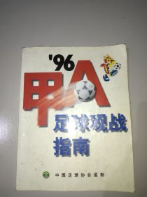 96甲A足球观战指南