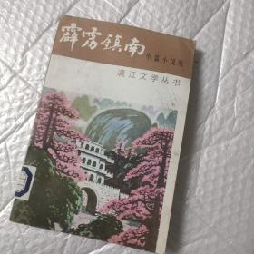 霹雳镇南
