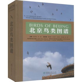 北京鸟类图谱(精)