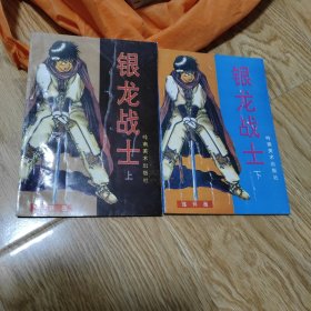 银龙战士