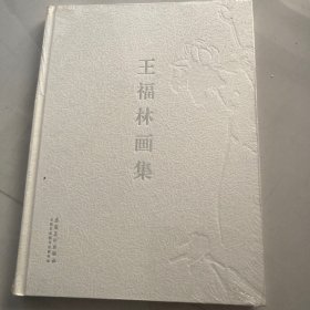 王福林画集