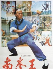 经典动作电影《南拳王》DVD 38年前风靡中国的功夫片，南拳王独门铁膝功，一代人的回忆。影片《南拳王》是80年代初比较优秀的武打片之一，上映于1984年。