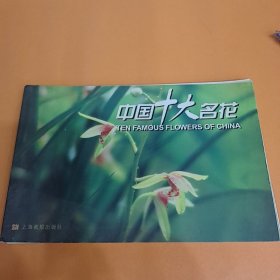 中国十大名花