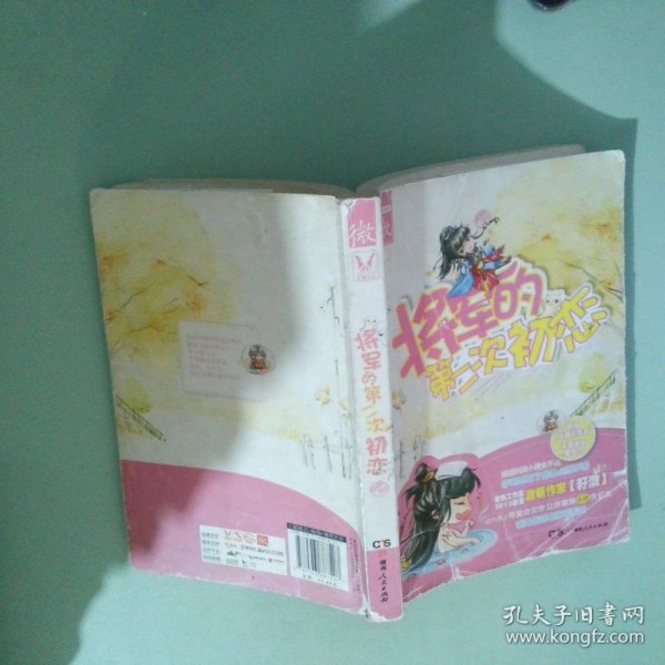 将军的第二次初恋