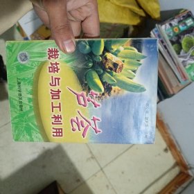 芦荟栽培与加工利用