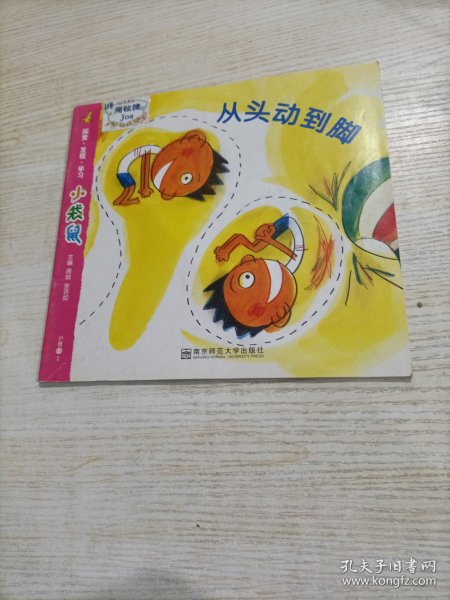 小袋鼠·从头动到脚