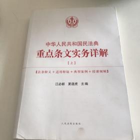 中华人民共和国民法典重点条文实务详解(全3册)