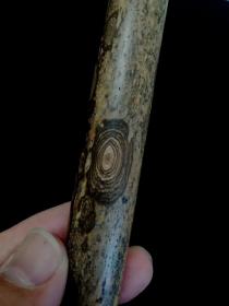 标本花纹，老梅鹿竹筒子，很老，很漂亮很有品位，尺寸：23x1.9cm。
