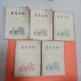 老版薄本武侠——月落大地（全五册）