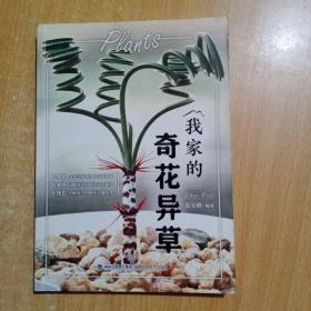 我家的奇花异草