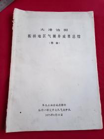 大港油田板桥地区气册井成果总结