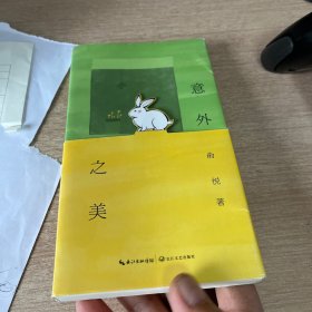 意外之美（刘震云作序，马未都，阿来，毕飞宇盛情推荐）