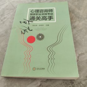 心理咨询师国家职业资格考试通关高手