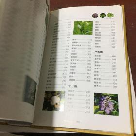 800种中草药彩色图鉴（白金珍藏版）