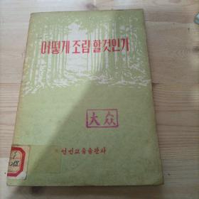 怎样造林，朝鲜文，어떻게조림할것인가