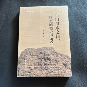 白山黑水之间：辽金城镇史地研究