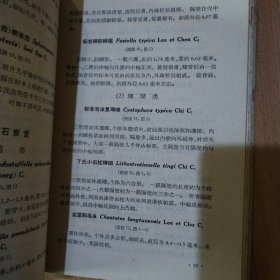 华南区标准化石手册