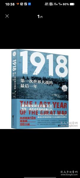 1918：第一次世界大战的最后一年（约翰·托兰历史纪实系列）