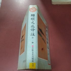 昭明文选译注（第一册）