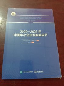 2022——2023年中国中小企业发展蓝皮书