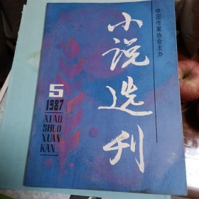 小说选刊987年5期