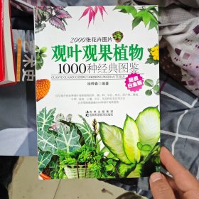 观叶观果植物1000种经典图鉴（超值白金版）