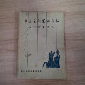 中学生钢笔练字帖