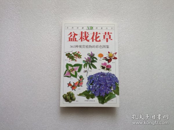 盆栽花草：365种观赏植物的彩色图鉴